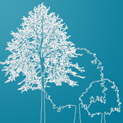 Login - The Academy For Classical Education